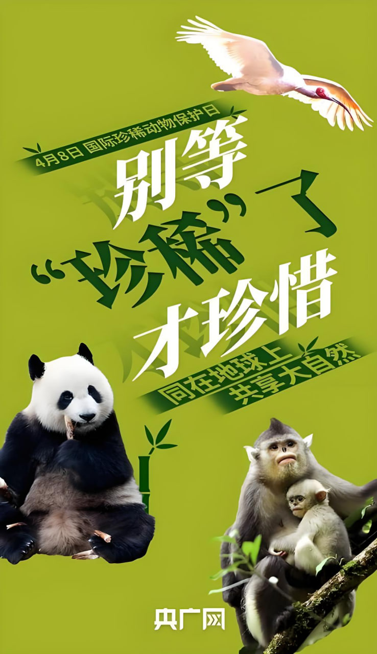 城市的边缘